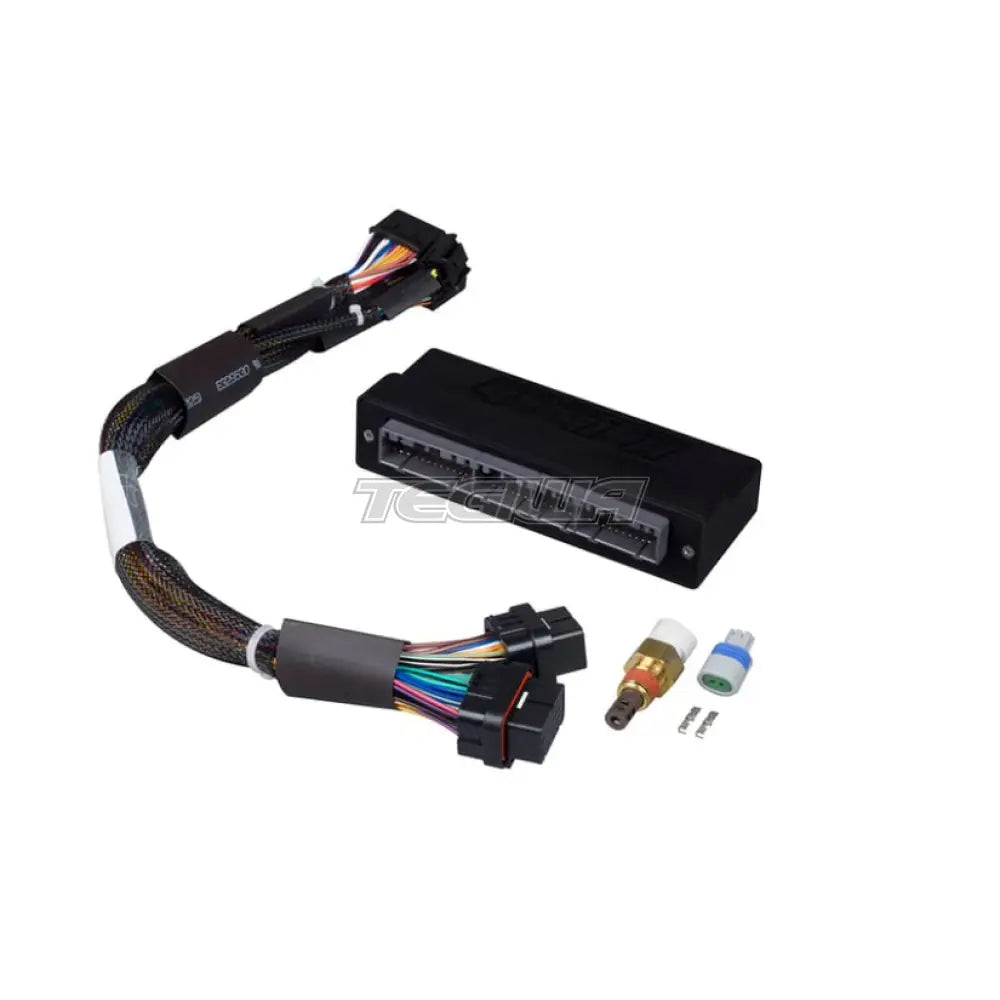 Haltech Elite 1000/1500 Mitsubishi EVO 4-8 (5 Speed) Plug 'n' Play Adaptor Harness