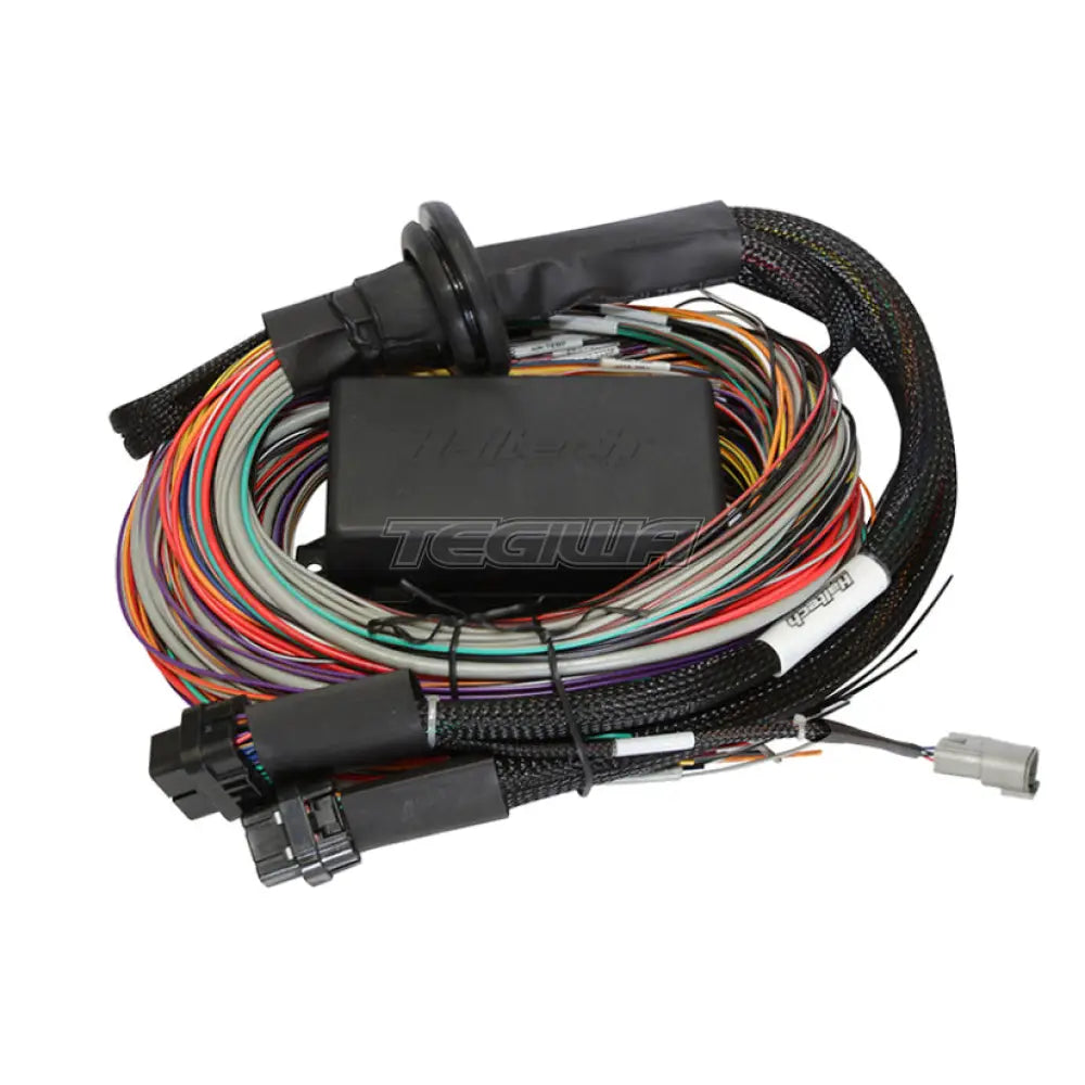 Haltech Elite 1500 - 2.5m (8ft) Premium Universal Wire-in Harness