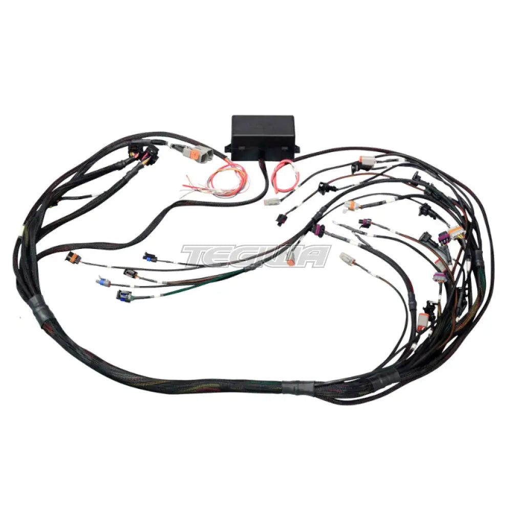 Haltech Elite 2000/2500 GM GEN III LS1 Non DBW Terminal Harness EV1