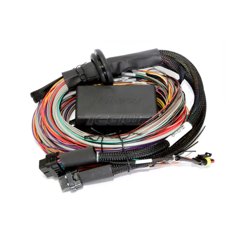 Haltech Elite 2500 + Premium Universal Wire-in Harness Kit 5m