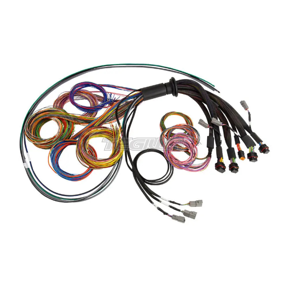 Haltech Nexus R5 Basic Universal Wire-In Harness - 2.5M (8ft)