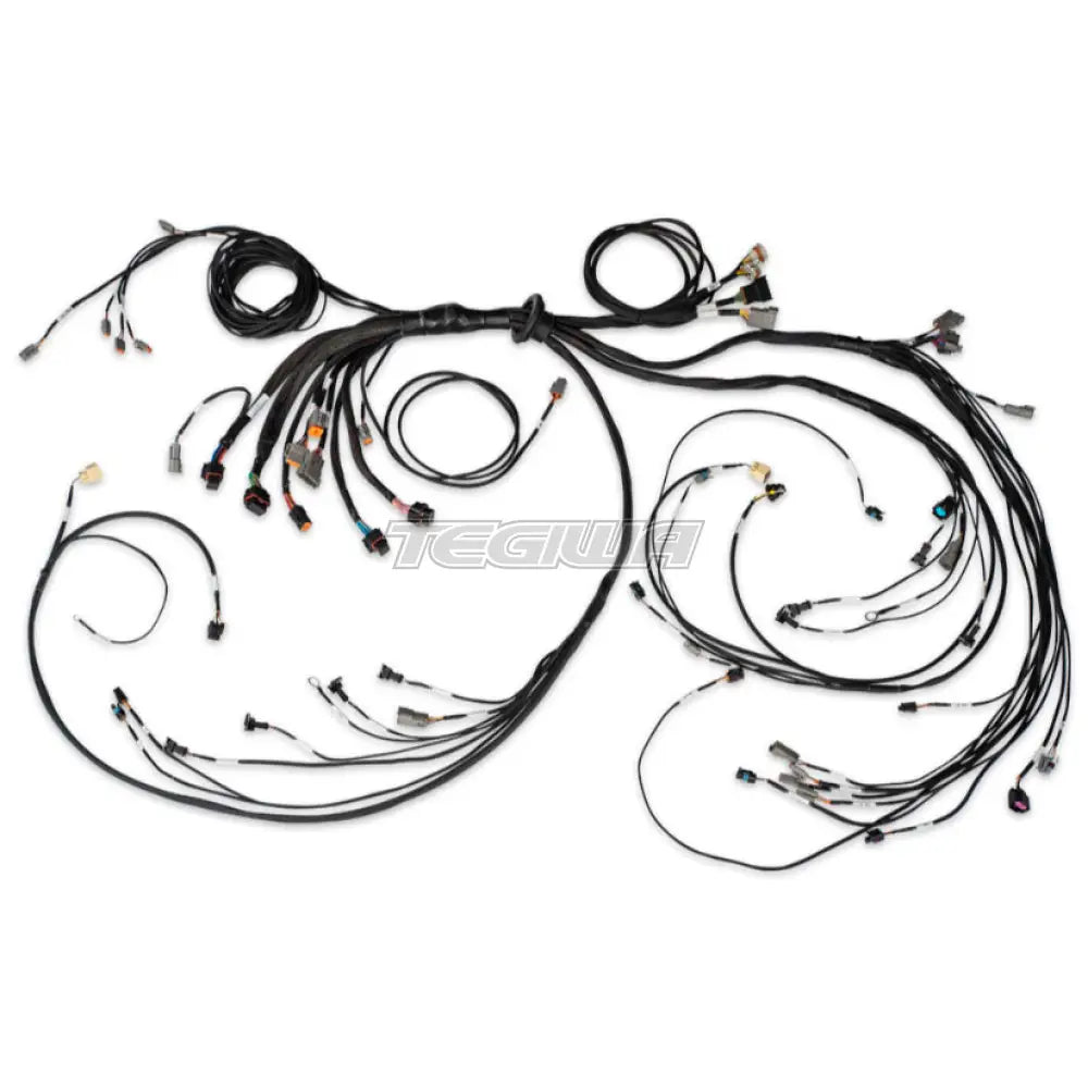 Haltech Nexus R5 LSx Non DBW Terminated Harness