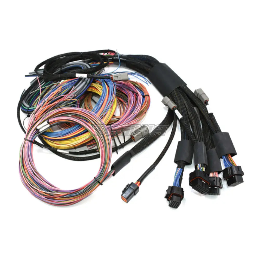 Haltech NEXUS R5 + Universal Wire-in Harness Kit - 5M / 16'