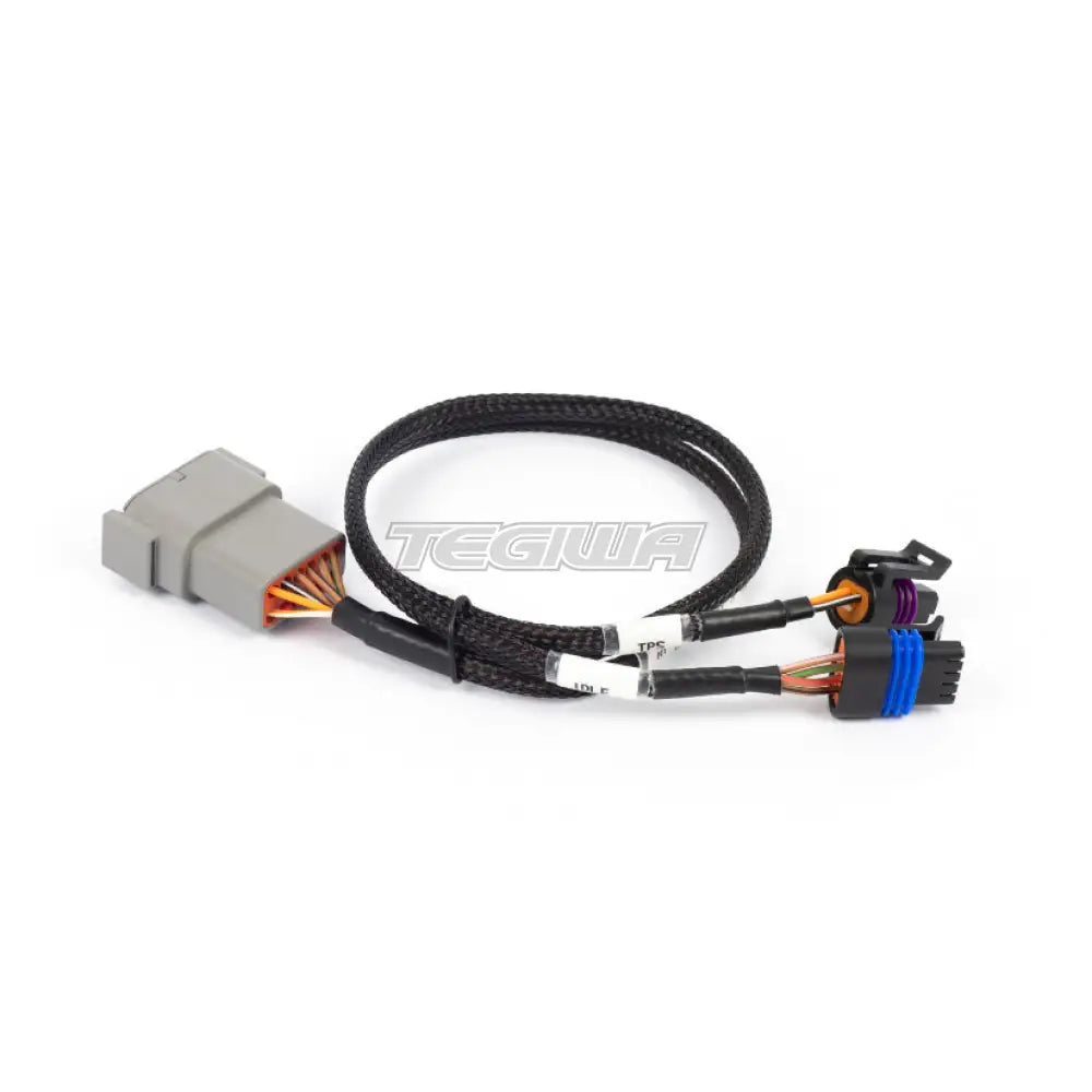 Haltech Nexus Rebel LS - Cable Throttle + IAC sub-harness