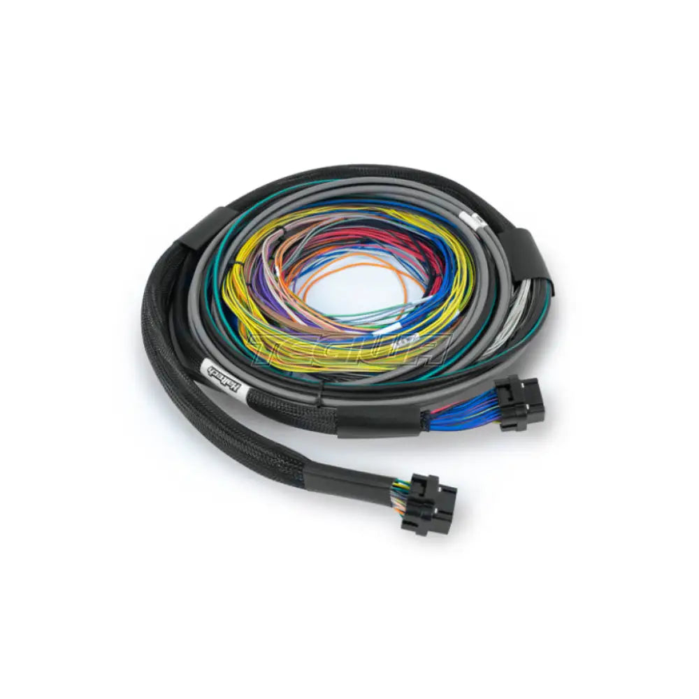 Haltech Nexus S3 / S2 Universal Wire-In Harness - 2.5m (8')