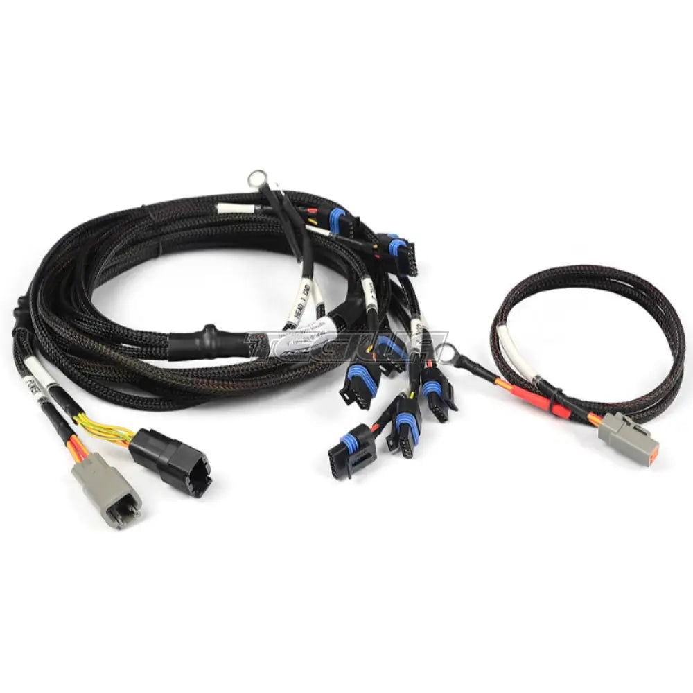 Haltech Nexus Universal V8 - IGN-1A GM/Chrysler Harness