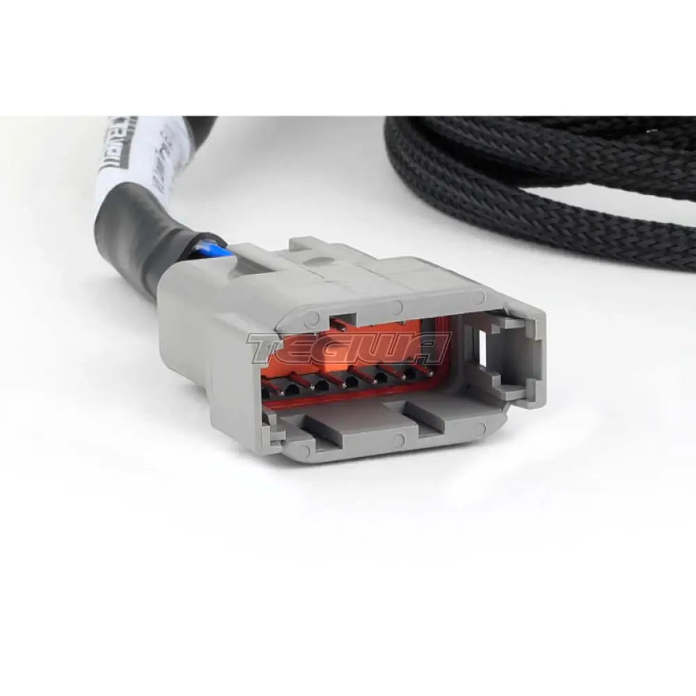 Haltech Nexus Universal V8 - Junior Timer (EV1) Injector Primary Breakout