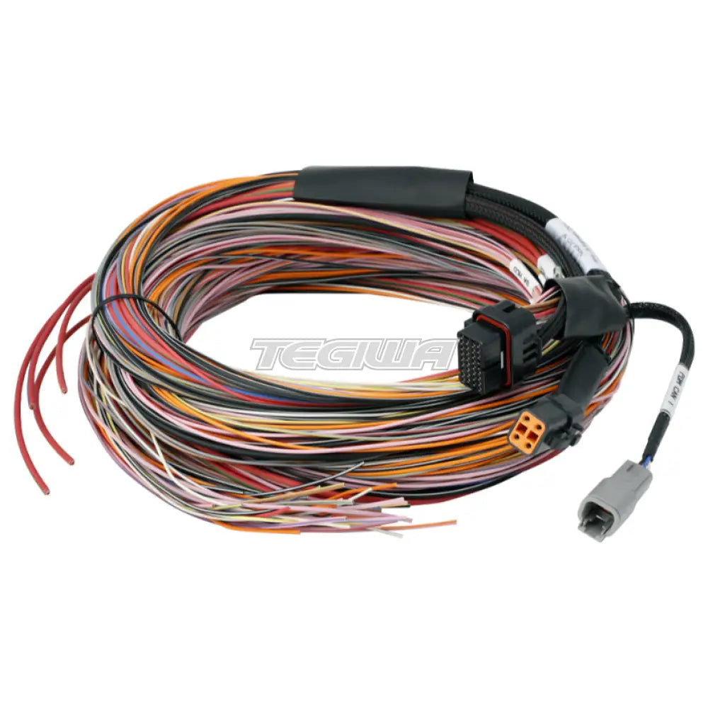 Haltech PD16 PDM + Flying Lead Harness (5M)