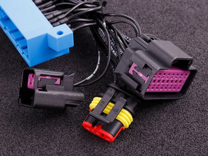 Nissan 200sx S13 CA18 MaxxECU RACE Plugin EXTRA -  MAXXECU