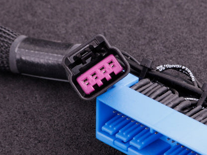 Nissan Skyline GT-R R34 MaxxECU RACE Plugin EXTRA -  MAXXECU