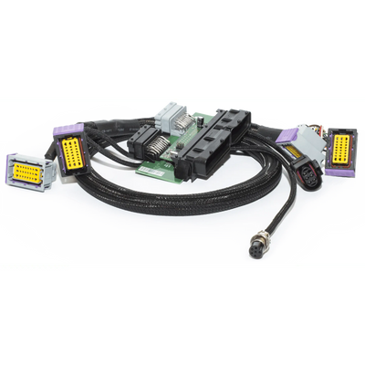 ECU Master Fiesta ST Mk6 EMU Black Plug'n'Play ECU Kit