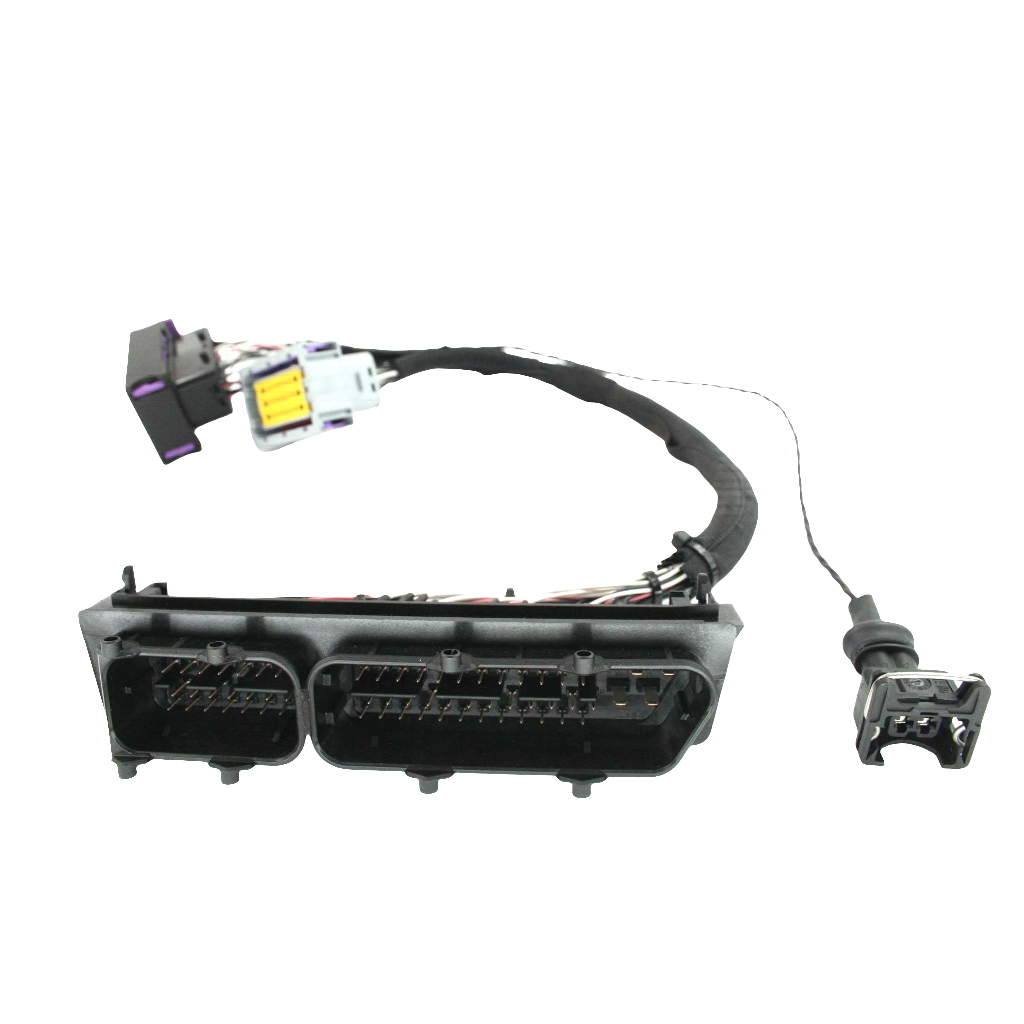 Lotus S2 2ZZ Cable Throttle ECU Kit