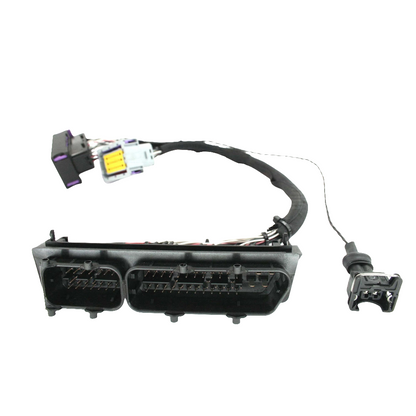 Lotus S2 2ZZ Cable Throttle ECU Kit