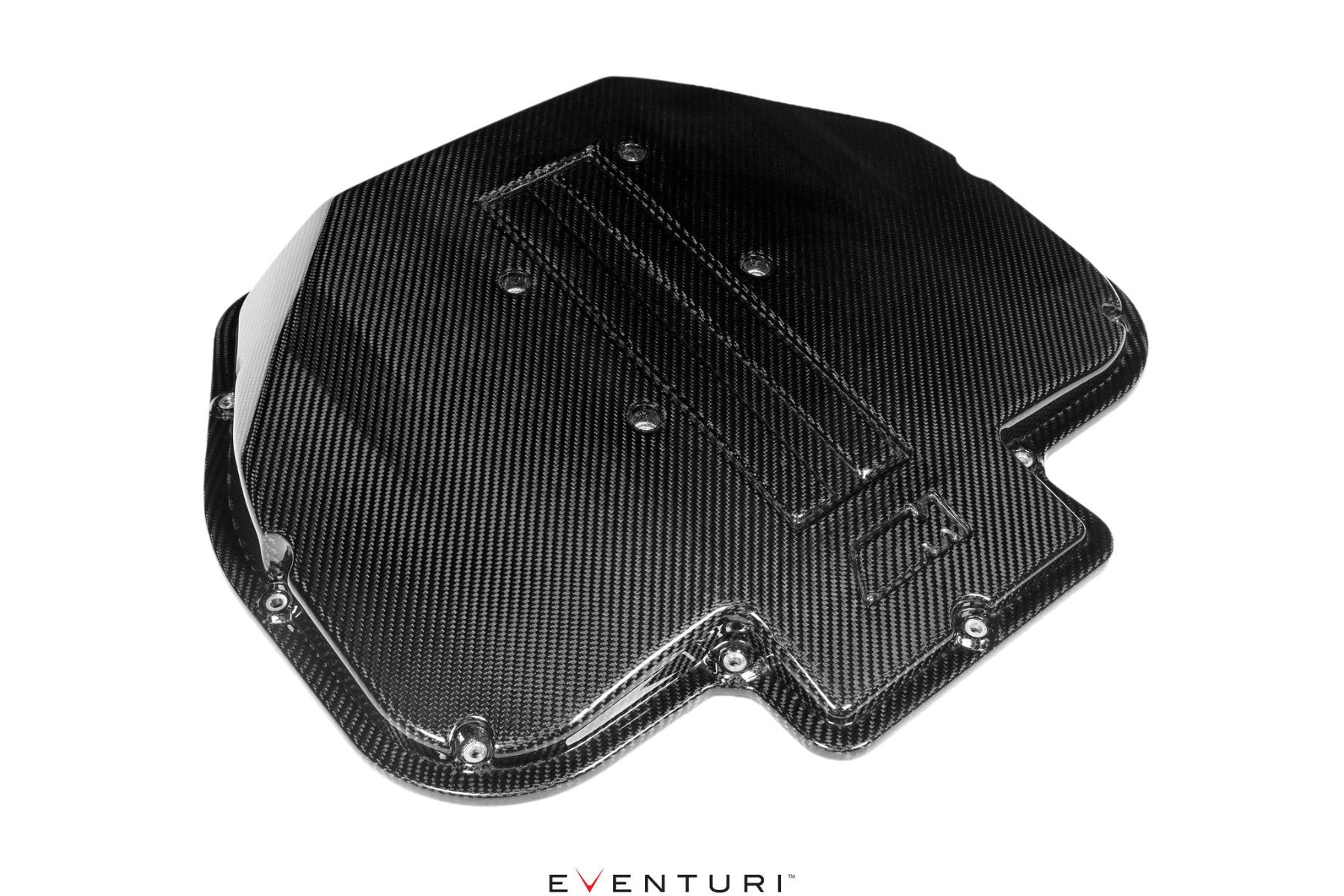 Eventuri Carbon Fibre Plenum Lid - BMW E39 M5 | Z8 (S62)