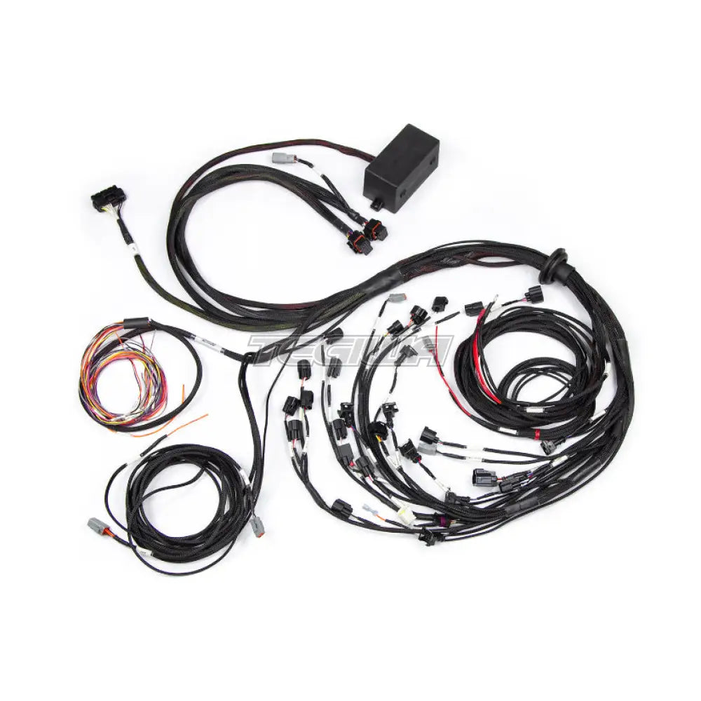 Haltech Elite 2500 Ford Falcon BA/BF Barra 4.0 Terminated Harness