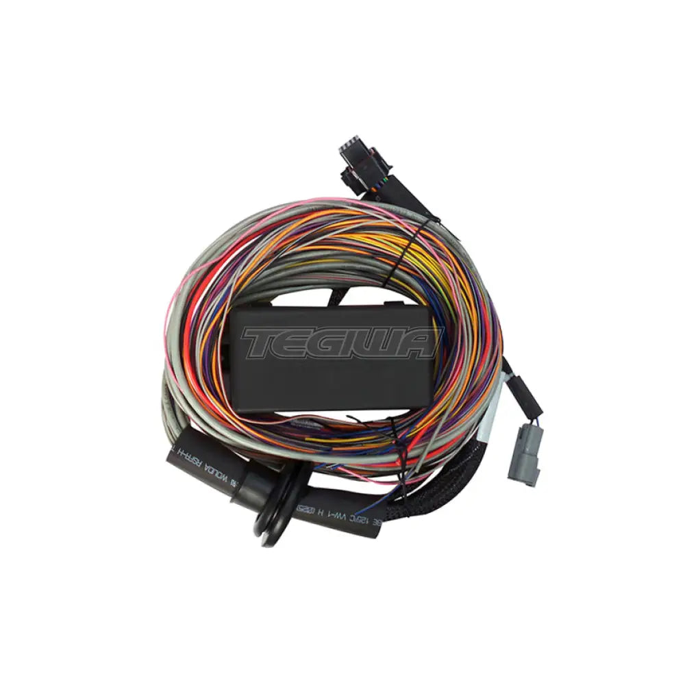 Haltech Elite 550 + Premium Universal Wire-in Harness Kit