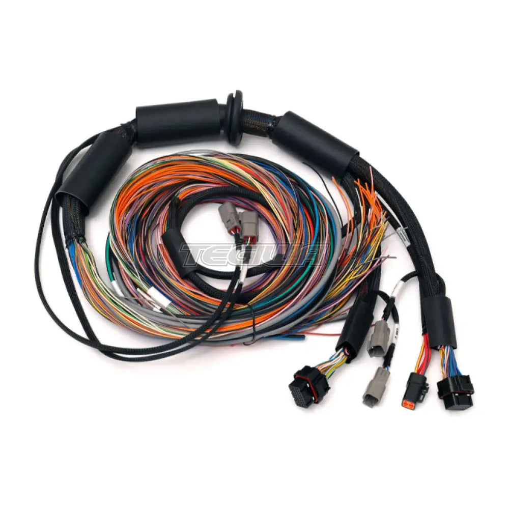 Haltech Nexus R3 Universal Wire-in Harness - 2.5m (8')