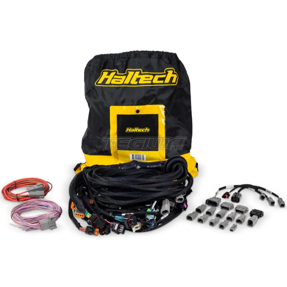 Haltech Nexus R5 LSx DBW Terminated Harness - DBW ready