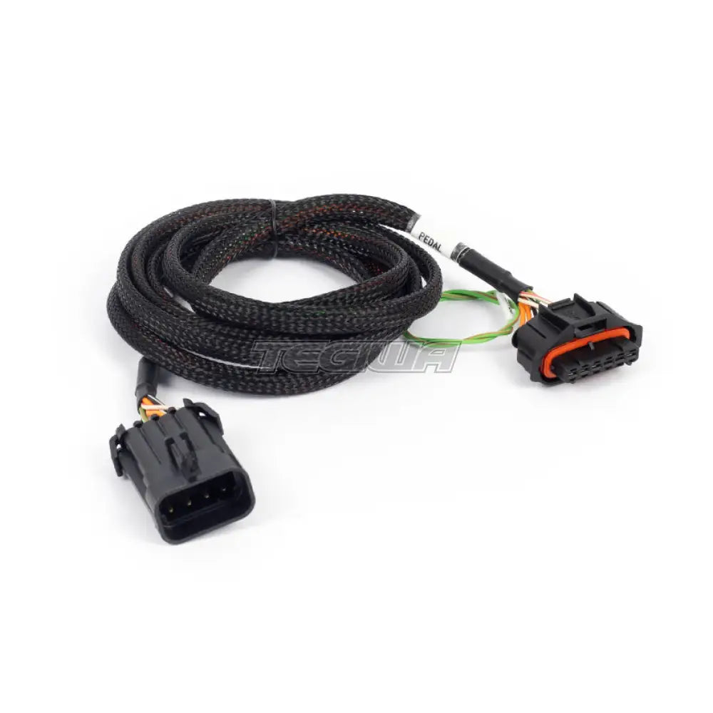 Haltech Nexus Rebel LS - Bosch Pedal adaptor