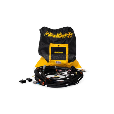 Haltech Nexus Rebel LS Terminated Harness for Nexus Rebel LS ECU