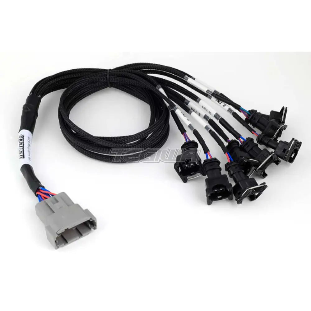 Haltech Nexus Universal V8 - Junior Timer (EV1) Injector Primary Breakout