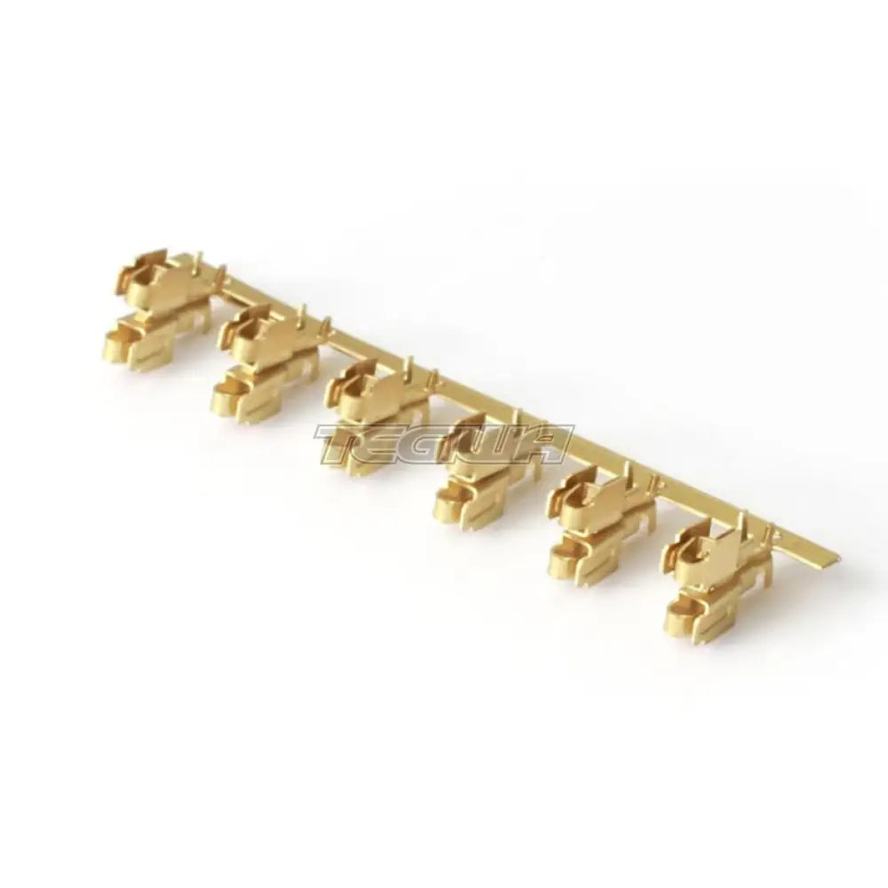Haltech Pins - Suit Fuses In The 6 Circuit Fuse Box