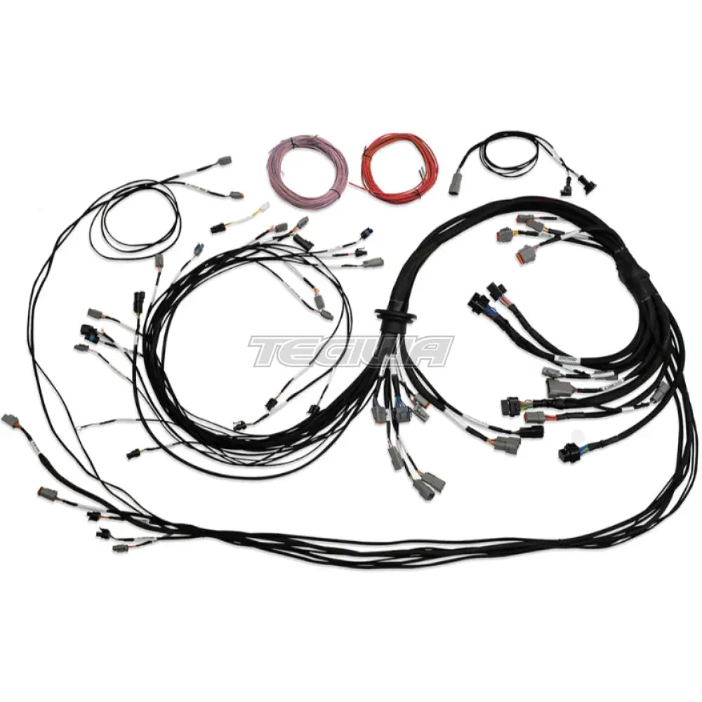 Haltech Universal V8 Terminated Engine Harness for Nexus R5 VCU