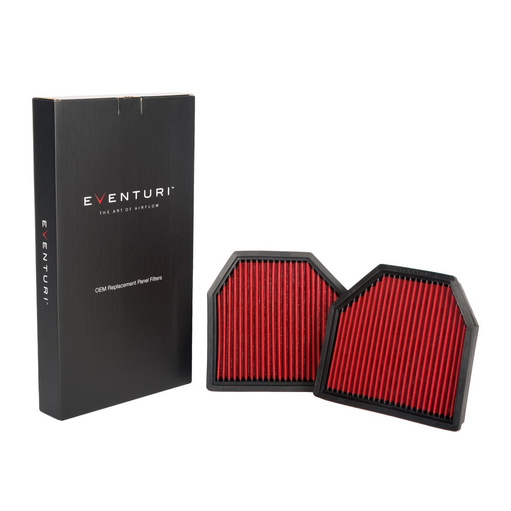 Eventuri BMW F12 F13 M6 Air Scoop & Panel Filter